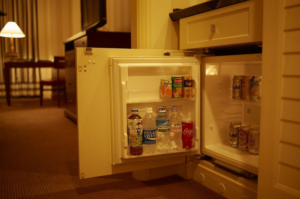 Mini-refrigerator