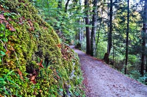 thumbnail: Bicycling
