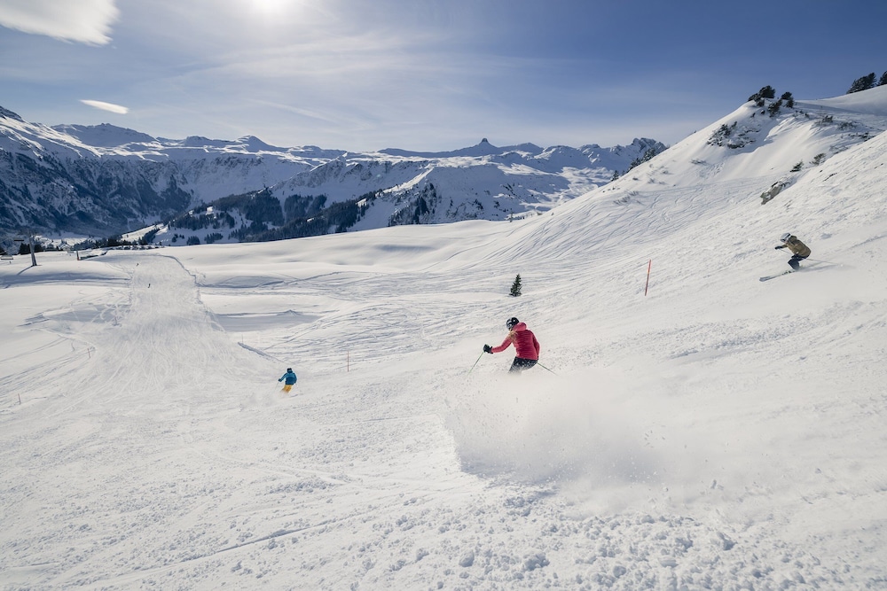 Snow and ski sports