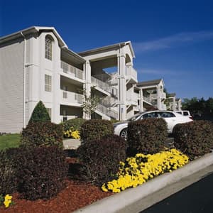 thumbnail: General view