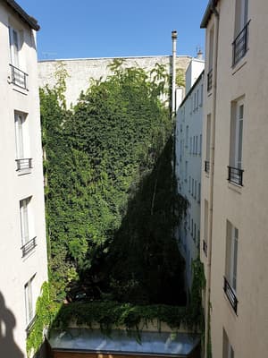 thumbnail: Courtyard view