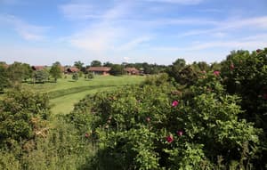 thumbnail: Property grounds