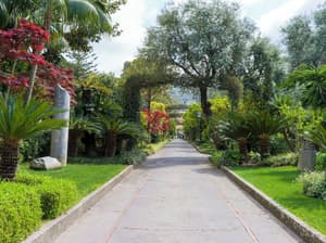 thumbnail: Garden