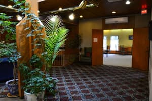 thumbnail: Interior