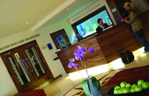 thumbnail: Reception
