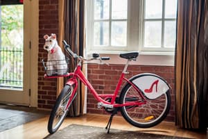 thumbnail: Bicycling