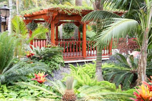 thumbnail: Garden