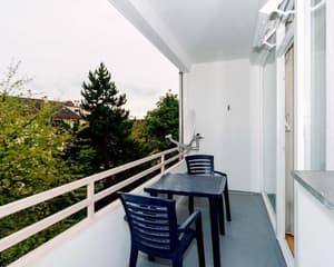 thumbnail: General view