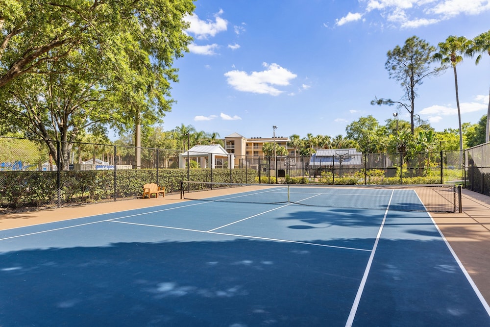 Tennis court
