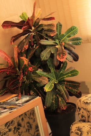 thumbnail: Interior