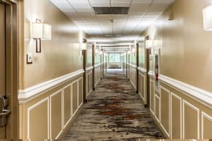 thumbnail: Interior
