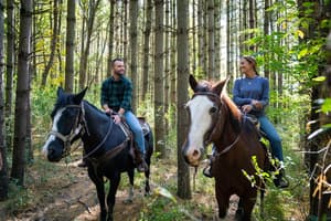 thumbnail: Horseback riding