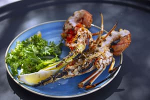 thumbnail: Restaurant