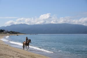 thumbnail: Horseback riding