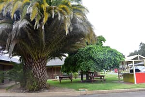 thumbnail: Garden