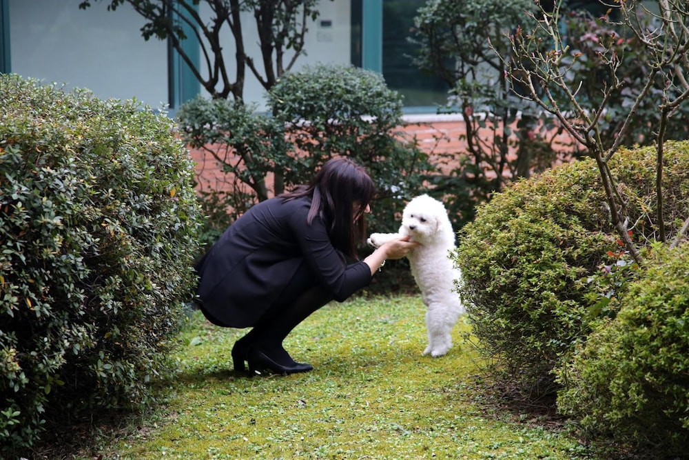 Pet-friendly