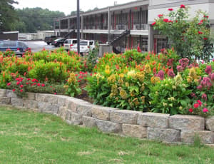 thumbnail: Garden