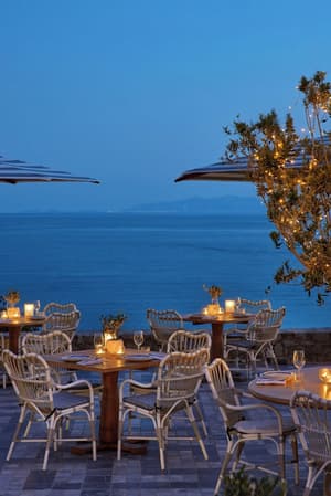 thumbnail: Restaurant