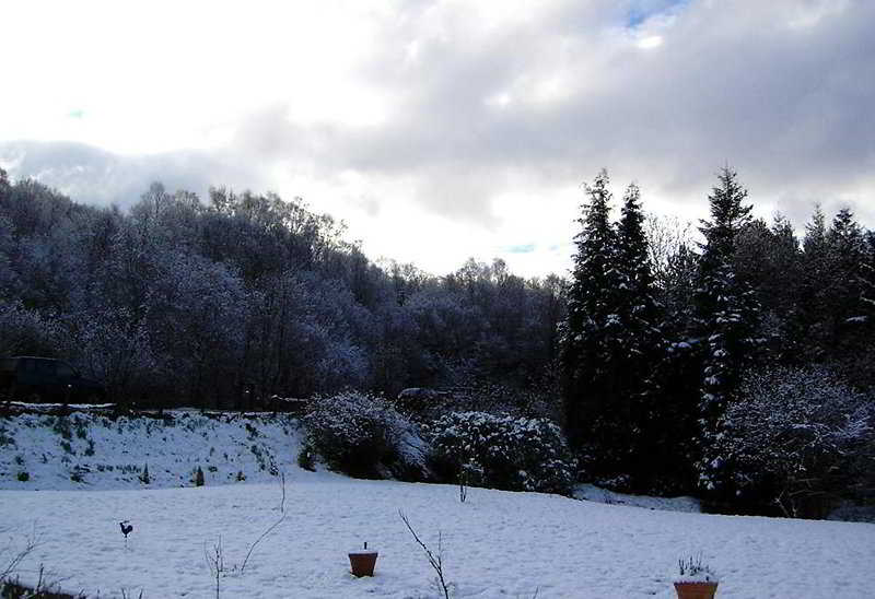 General view