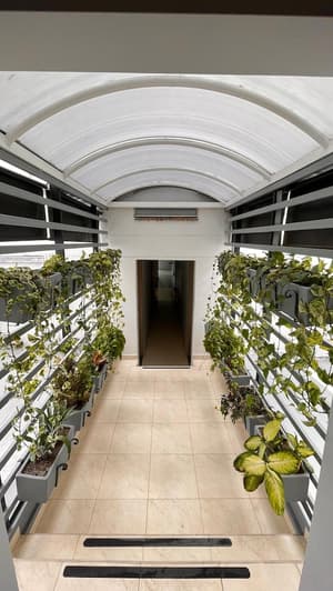 thumbnail: Terrace/patio
