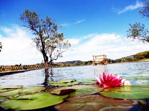 thumbnail: Lake