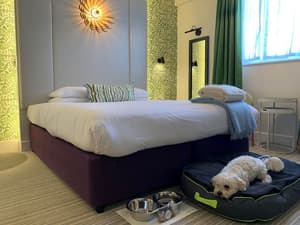thumbnail: Room