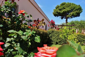 thumbnail: Garden