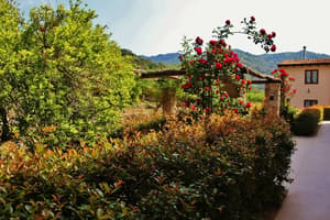 thumbnail: Garden