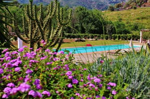 thumbnail: Outdoor pool