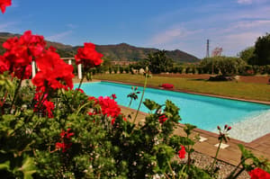 thumbnail: Outdoor pool