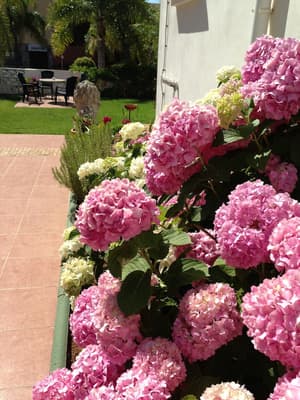 thumbnail: Terrace/patio