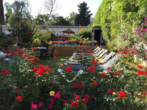 thumbnail: Property grounds