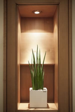 thumbnail: Interior detail