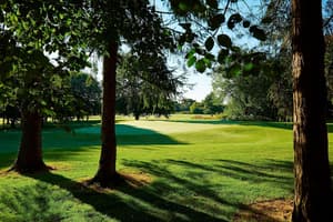 thumbnail: Golf