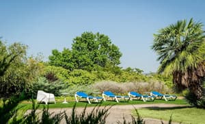 thumbnail: Terrace/patio