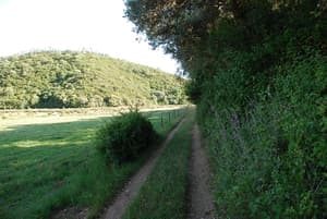 thumbnail: General view