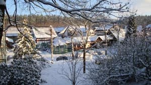 thumbnail: 8470421.jpg