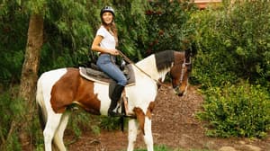 thumbnail: Horseback riding