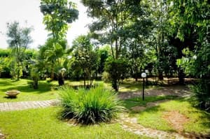 thumbnail: Garden
