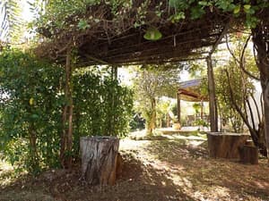 thumbnail: Garden