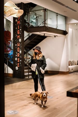 thumbnail: Pet-friendly