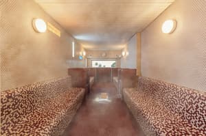 thumbnail: Sauna