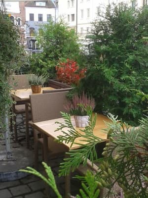 thumbnail: Garden