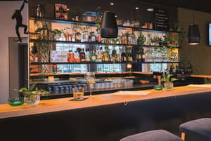 thumbnail: Bar (on property)