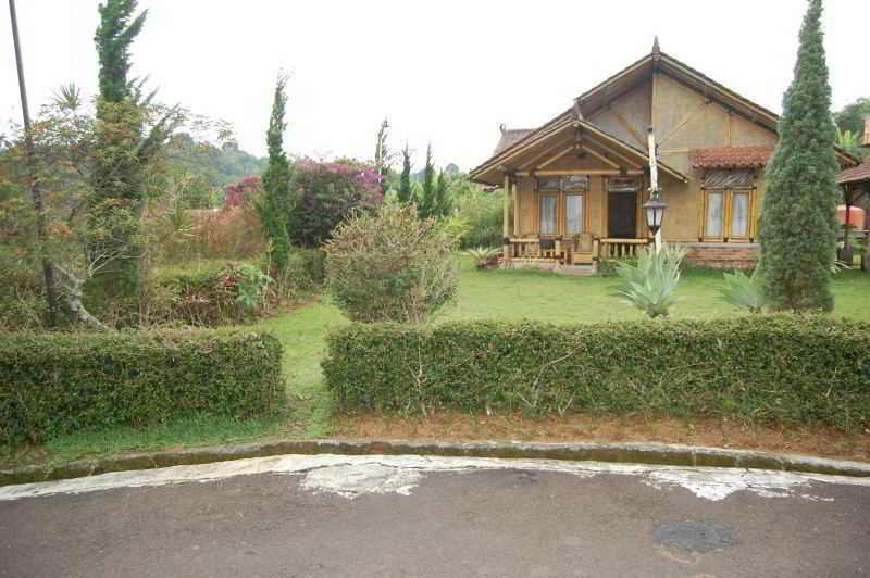 General view