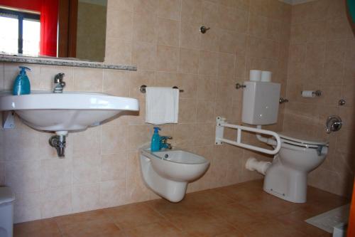 4399244.jpg