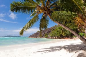 thumbnail: Beach