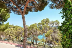 thumbnail: View from room
