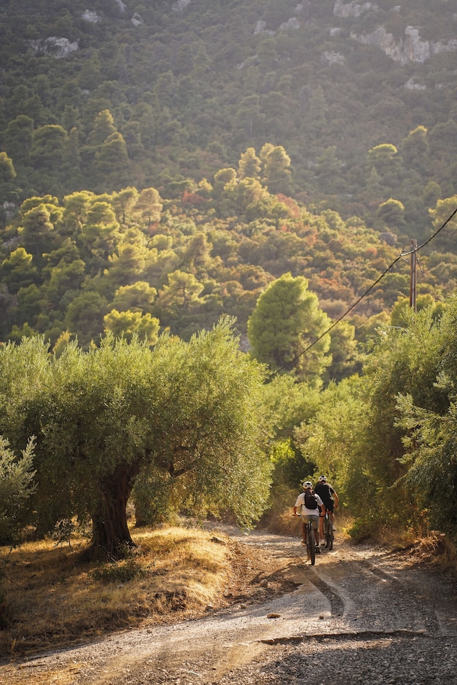 Bicycling