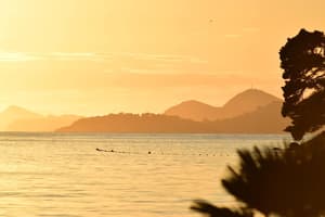 thumbnail: View from room